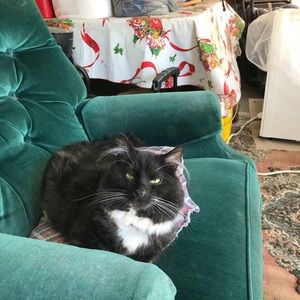 Meet your Posher, Susan